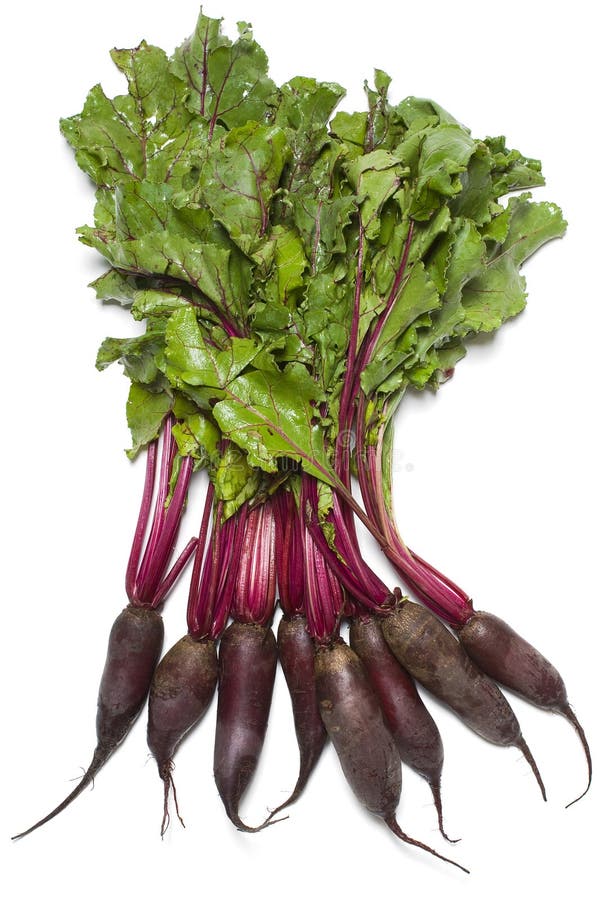 Beet.